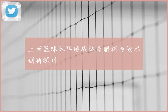 上海篮球队阵地战体系解析与战术创新探讨