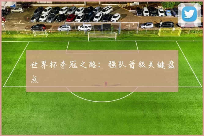 世界杯夺冠之路:强队晋级关键盘点