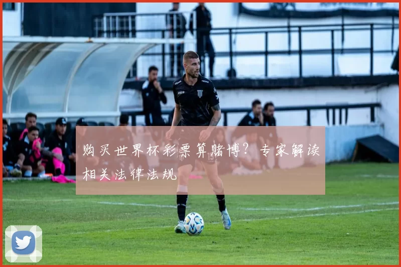 购买世界杯彩票算赌博？专家解读相关法律法规