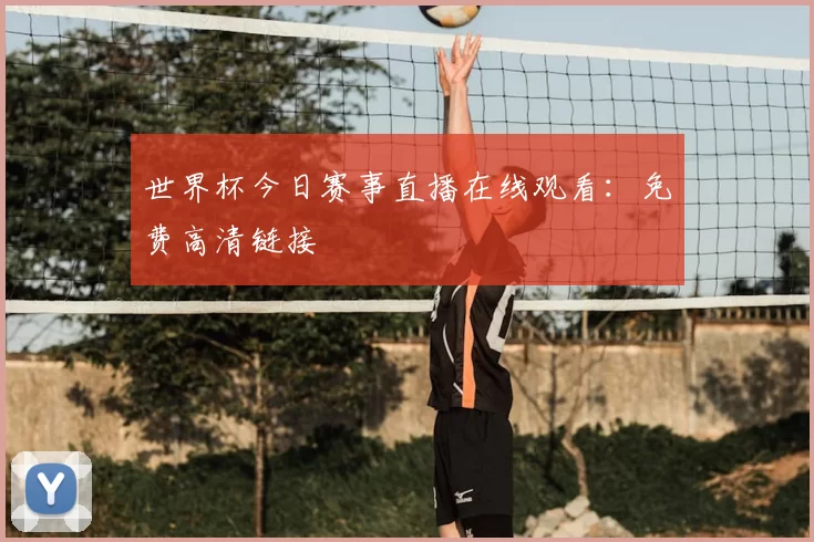 世界杯今日赛事直播在线观看:免费高清链接