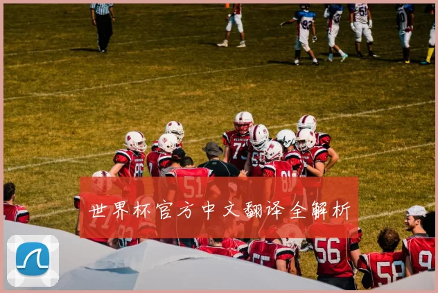 世界杯官方中文翻译全解析