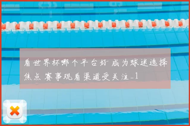 看世界杯哪个平台好 成为球迷选择焦点 赛事观看渠道受关注_1